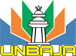 Logo Unbaja Logo Unbaja